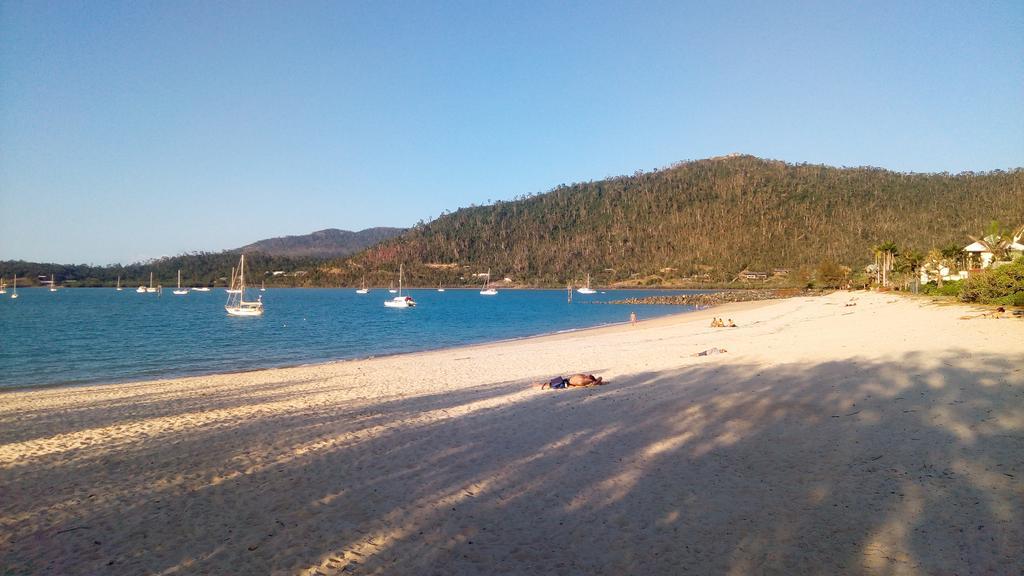 Boathouse Port Of Airlie Διαμέρισμα Airlie Beach Εξωτερικό φωτογραφία